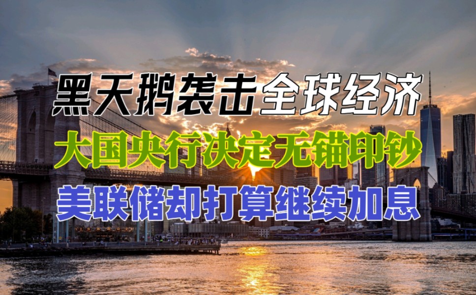 黑天鹅袭击全球经济:央行决定“无锚印钞”,美联储打算继续加息【邹狂鬼】哔哩哔哩bilibili