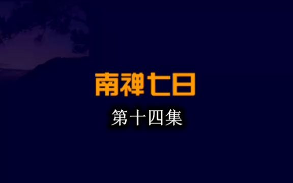 [图]《南禅七日》庚子纪念版（第14集）