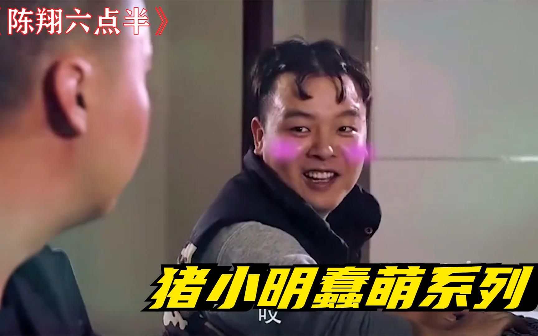 猪小明蠢萌系列:别再让猪小明演傻子了,导演都觉得他是本色出演