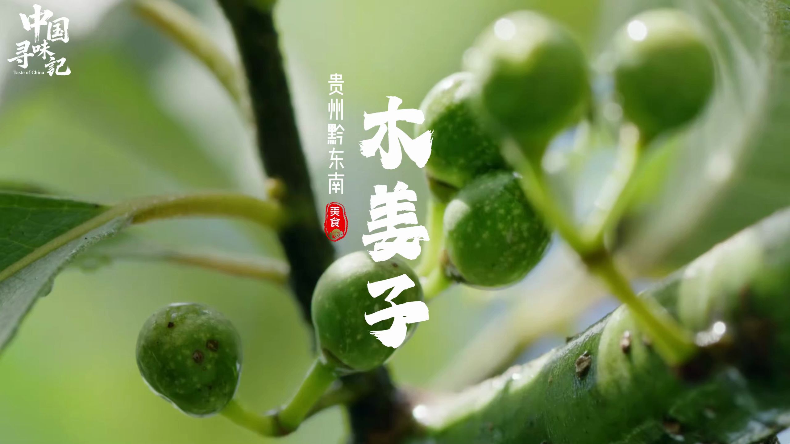 西南山区的神秘香料，成就了贵州的独特美食。