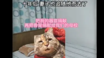 Download Video: 我把毕生献给医学，我把永生留给爱人