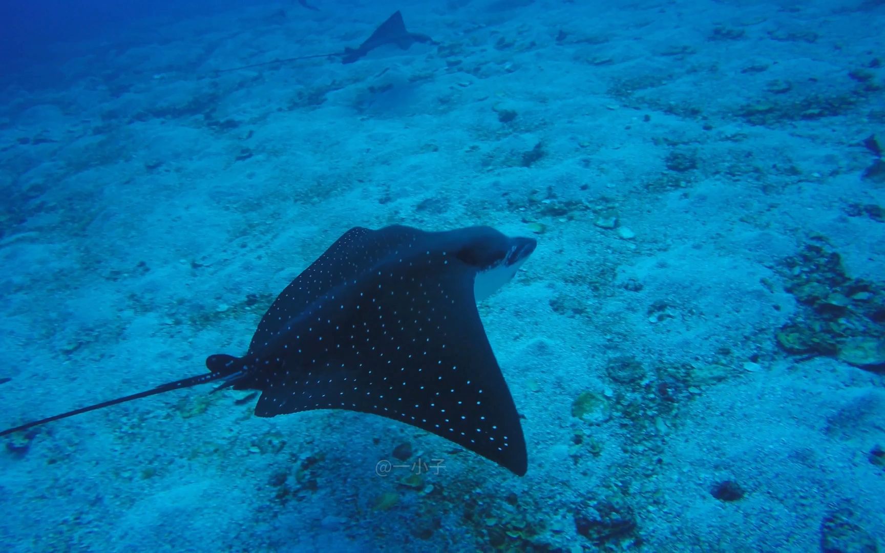 美丽的海底世界