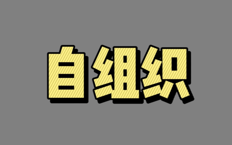 【00316】自组织(系统之美:系统的3大特征)哔哩哔哩bilibili