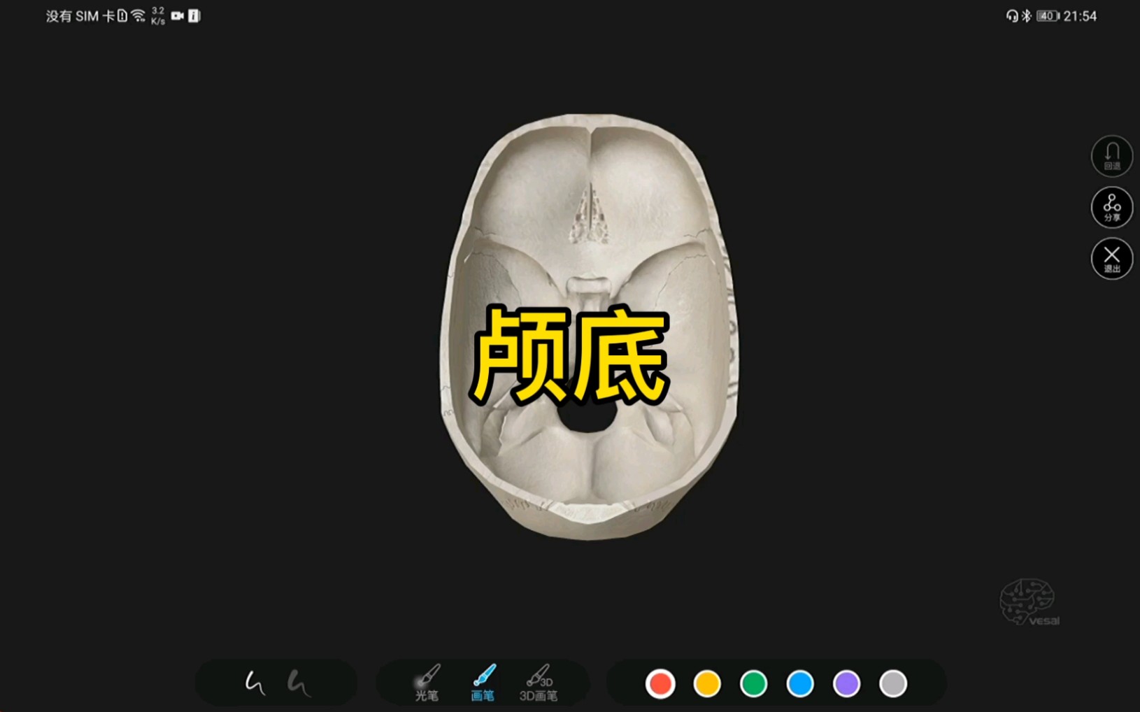 颅底内面观的3D解剖哔哩哔哩bilibili