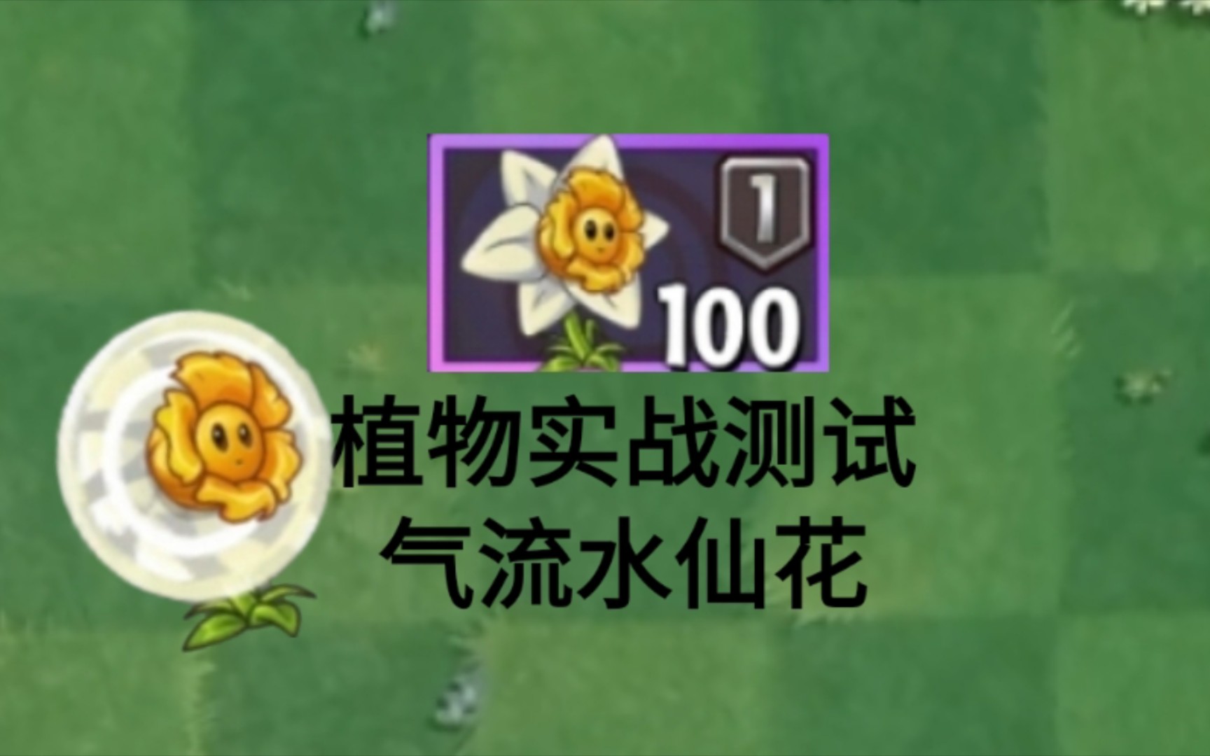 气流水仙花!pvz2一阶植物单挑测试