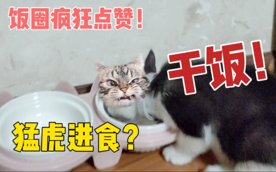 猛虎扑食表情包图片