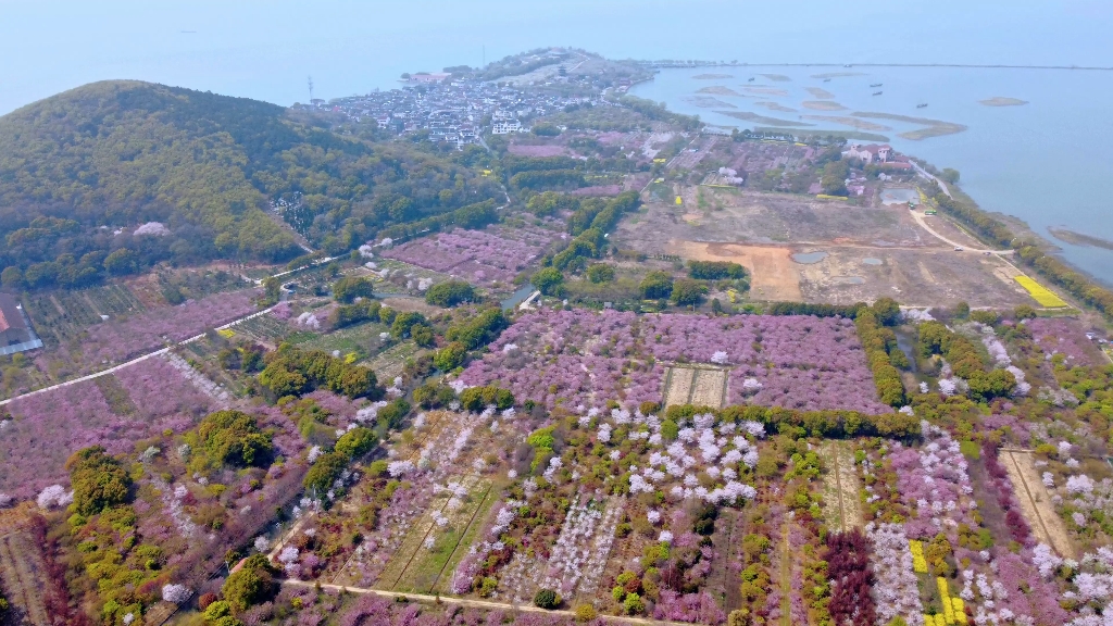 航拍漫山岛飞回冲山岛