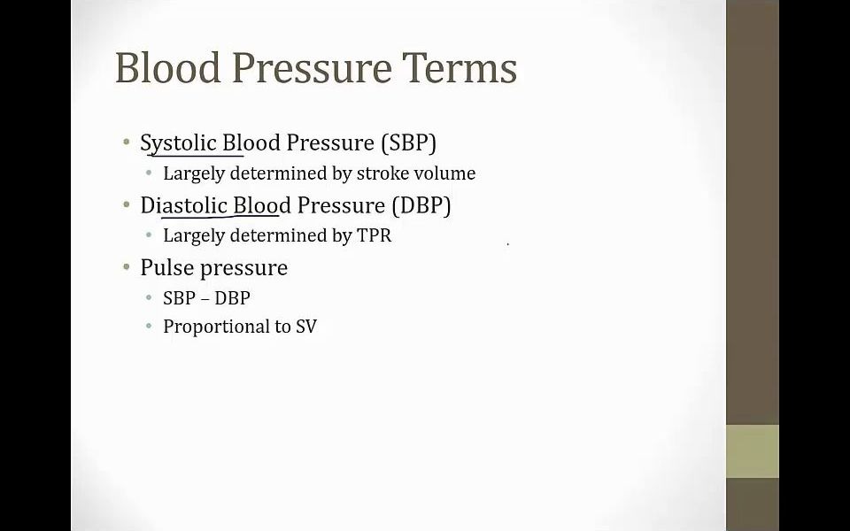 cardiac 2. Cardiac Physiology哔哩哔哩bilibili