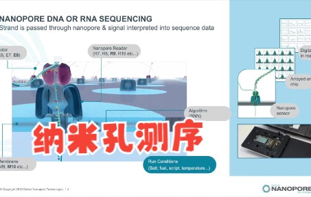 【中英】纳米孔测序简介 from Oxford Nanopore Technologies哔哩哔哩bilibili