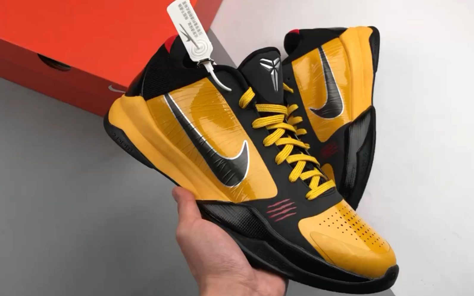 zk5 科比5代 李小龙 元年配置实拍