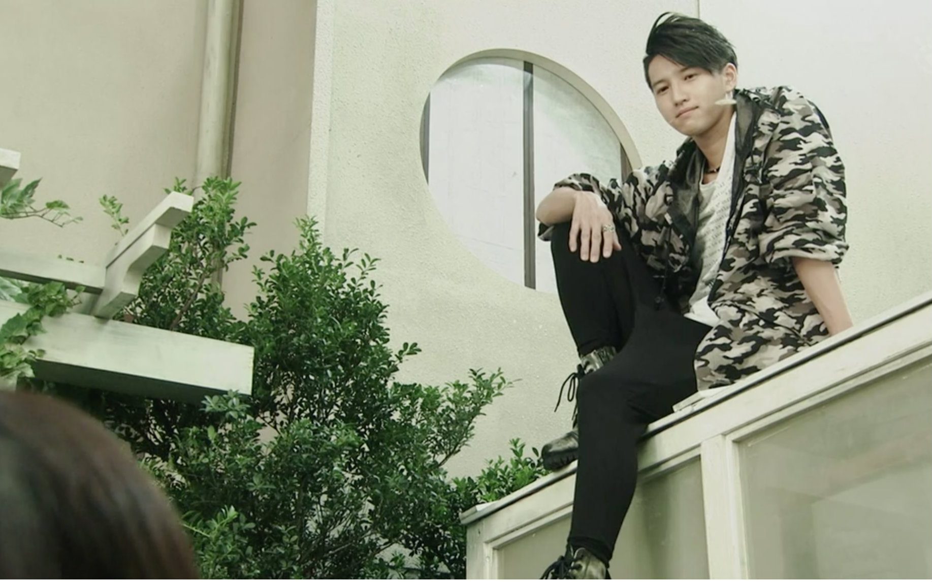 加贺兰丸x黛真知子樱花樱花想见你李狗嗨拉郎向