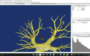 Download Video: mimics肺部三维重建视频教程-肺血管part2