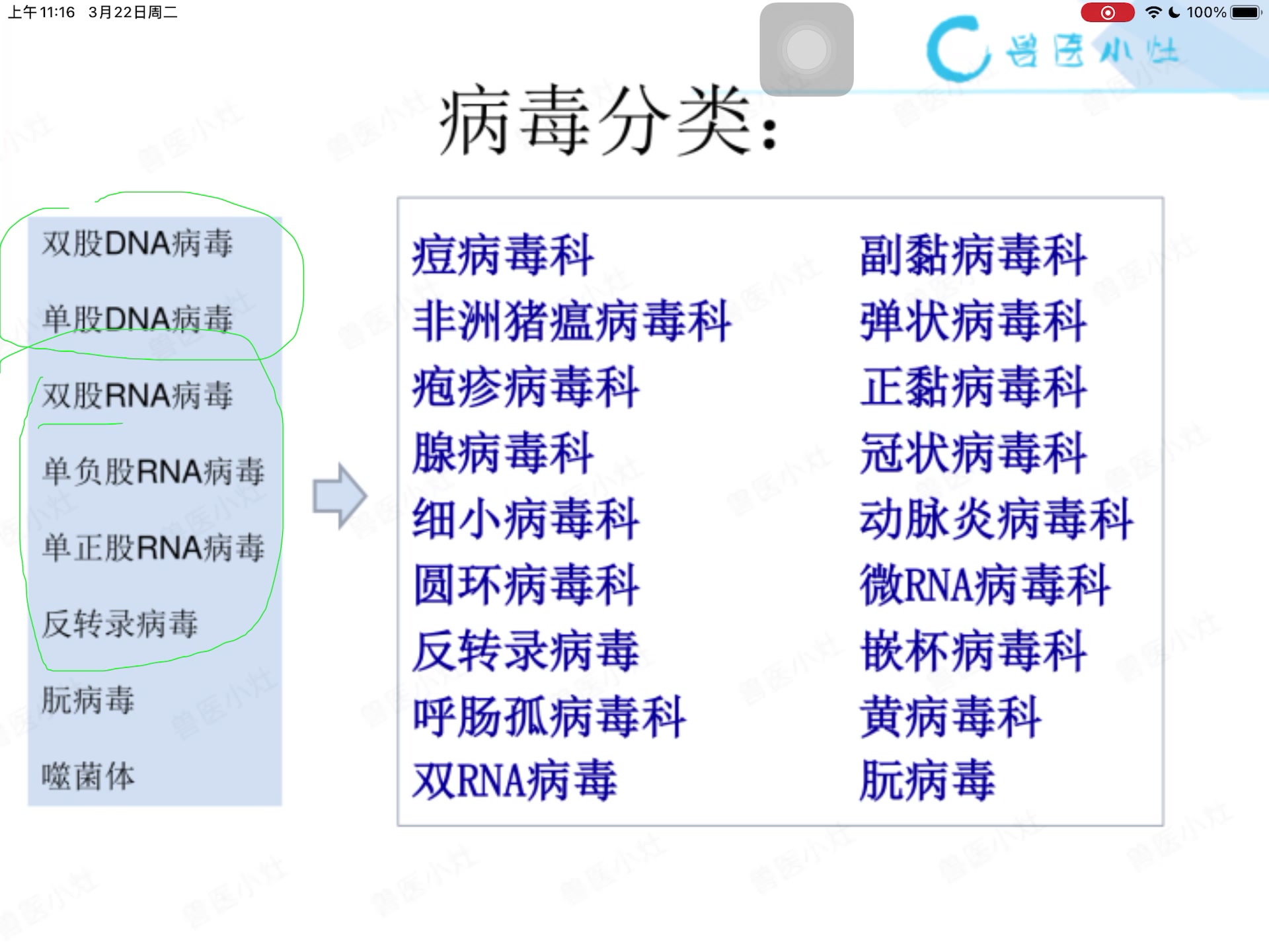 [图]2022最新版兽医证 兽医考试 执业兽医资格证考试 兽医微生物与免疫学 兽医精讲完整版