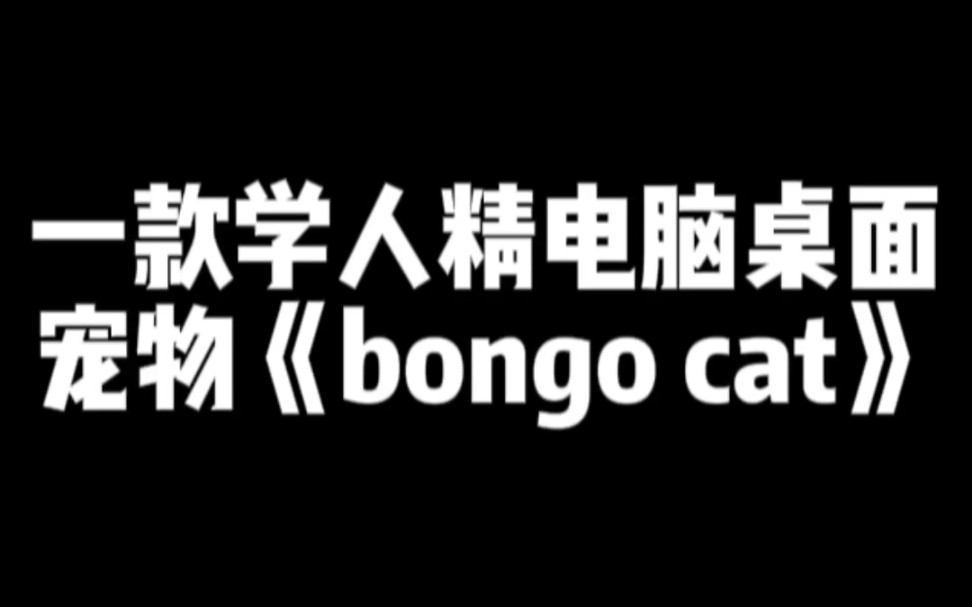 一款学人精电脑桌面宠物《bongo cat》哔哩哔哩bilibili