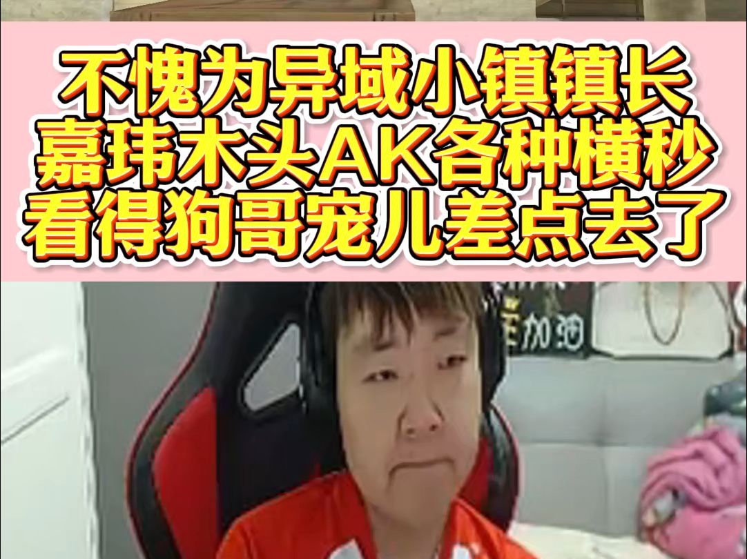 不愧为异域小镇镇长,嘉玮AK各种横秒看得狗哥宠儿差点去了哔哩哔哩bilibili穿越火线