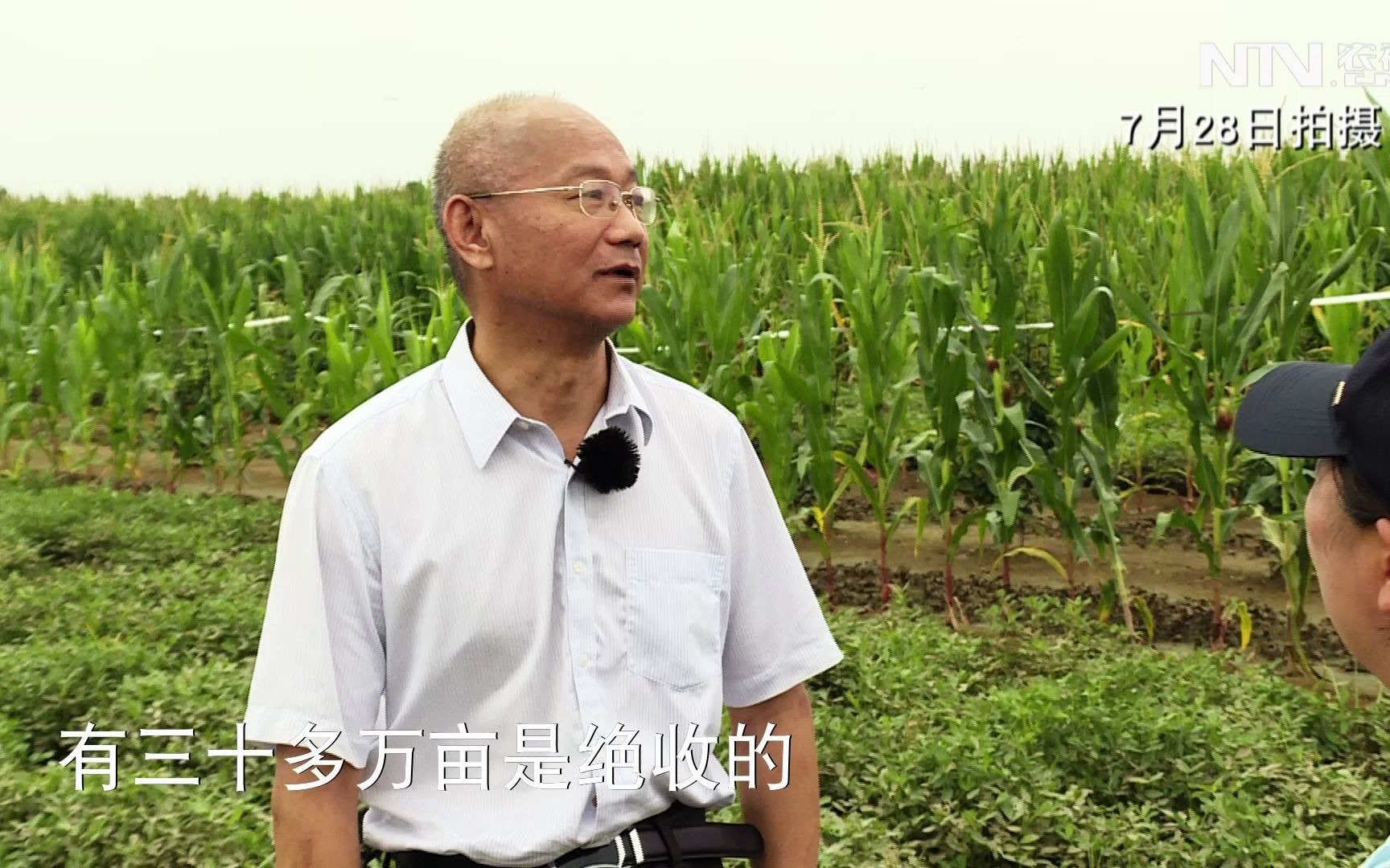 [图]【三农三人谈】暴雨之后话农险—种植业篇