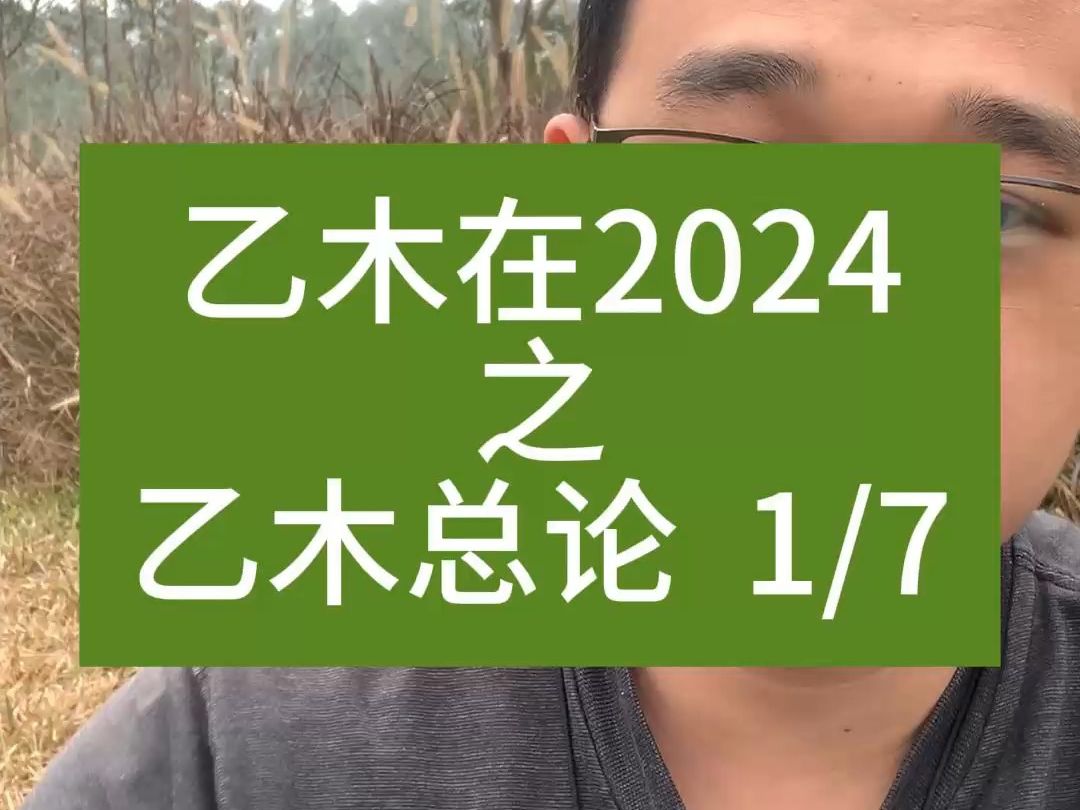 八字命理2024运势乙木乙木总论哔哩哔哩bilibili