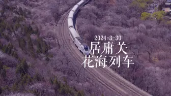 Download Video: 居庸关花海列车3月30日