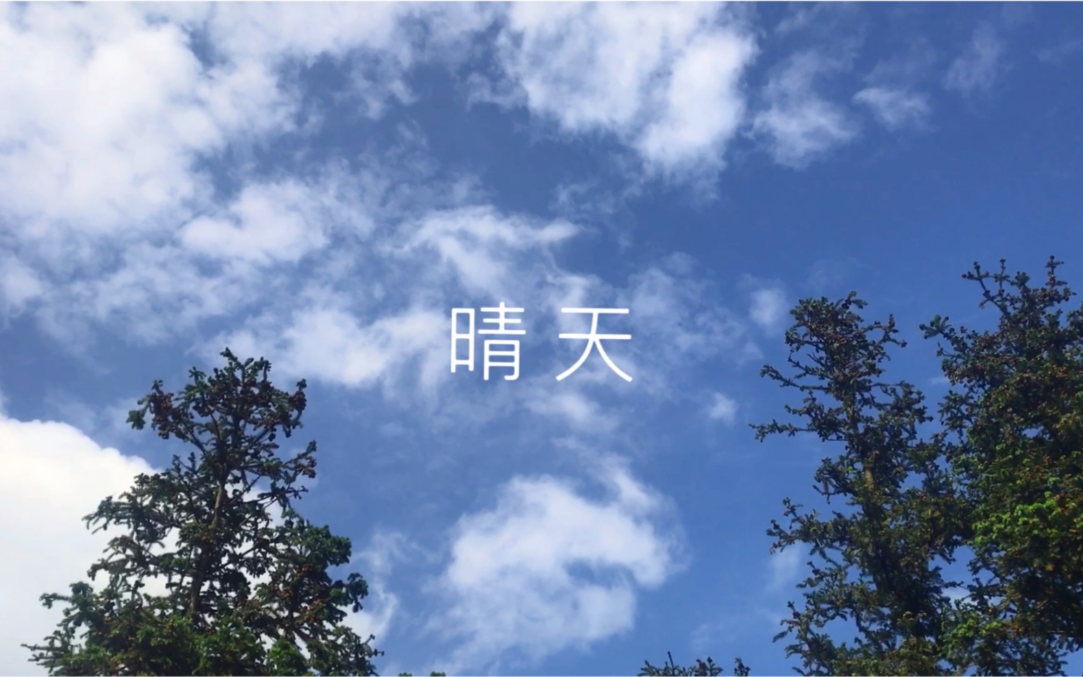 大晴天拍的视频再配上周杰伦的《晴天》就是绝配