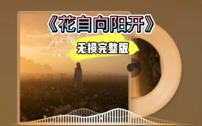 好歌分享！《花自向阳开》无损完整版