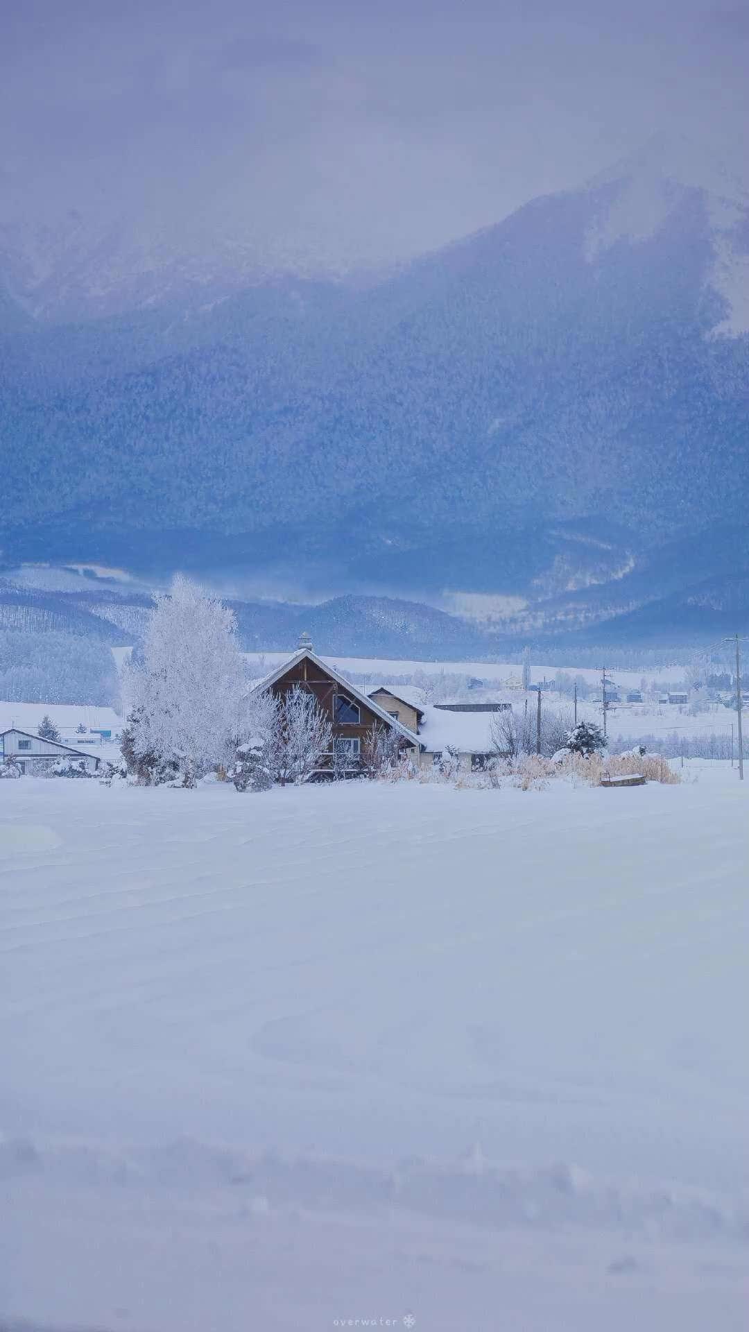 泰顺看雪图片