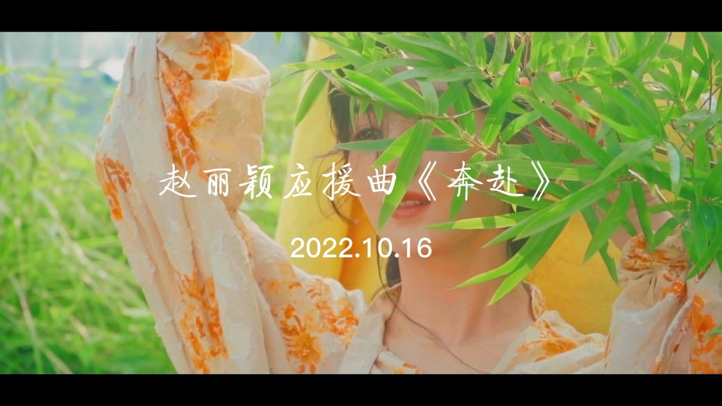 赵丽颖生日应援曲《奔赴》