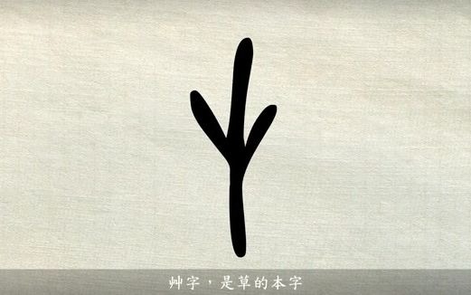 汉字说故事之“艹”字.《说文解字》艹:百芔也.从二屮.凡艹之属皆从艹.哔哩哔哩bilibili