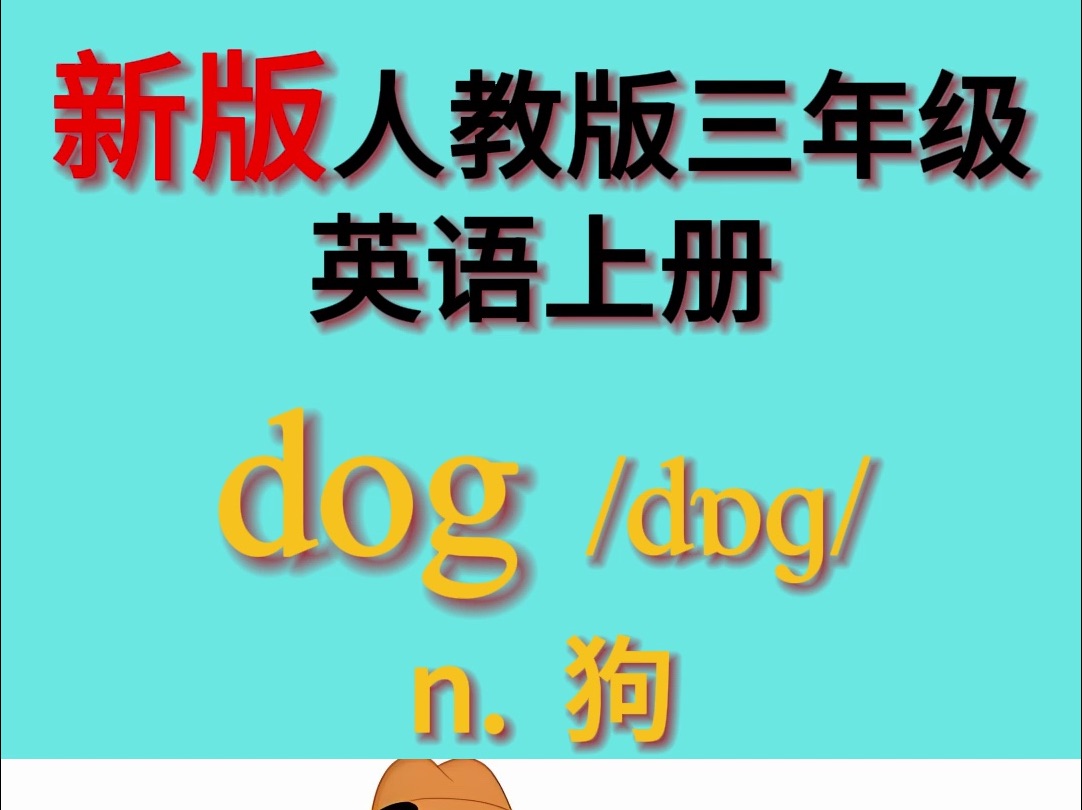 新版人教版三年级上英语单词 Unit 3 :dog哔哩哔哩bilibili