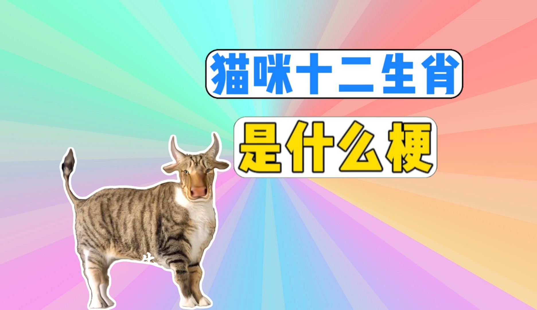 猫咪十二生肖是什么梗?哔哩哔哩bilibili