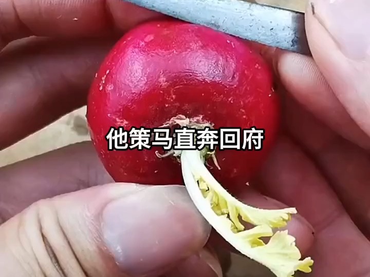 桃花马上请长缨 (1)哔哩哔哩bilibili