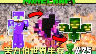 苦力怕世界生存 我的世界 #25