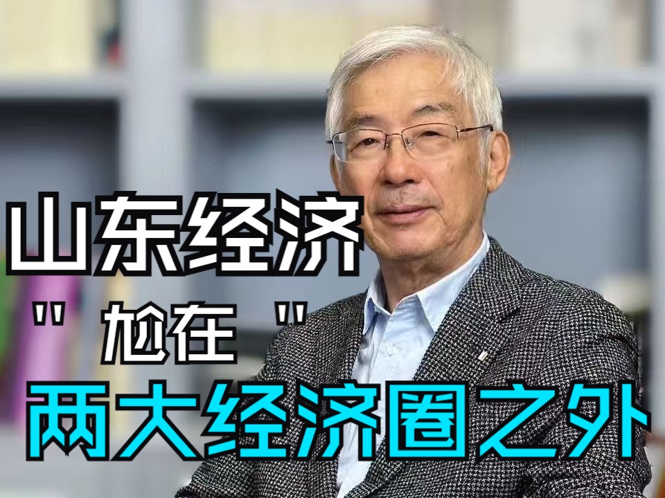 山东省在经济发展中的尴尬地位:生态撕裂与生态版图的形成哔哩哔哩bilibili