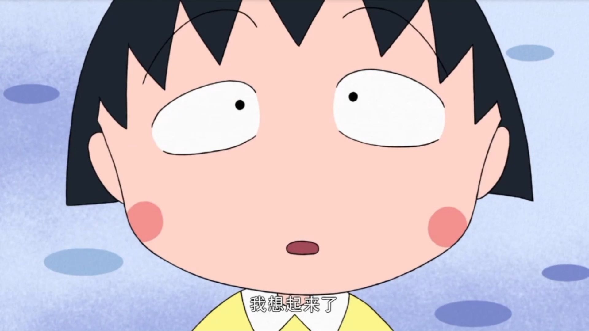 樱桃小丸子新番 国语 寻找紫藤萝花