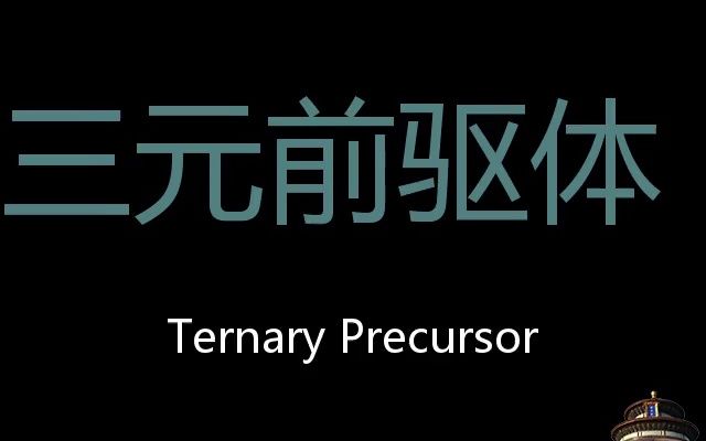 三元前驱体 Chinese Pronunciation Ternary Precursor哔哩哔哩bilibili