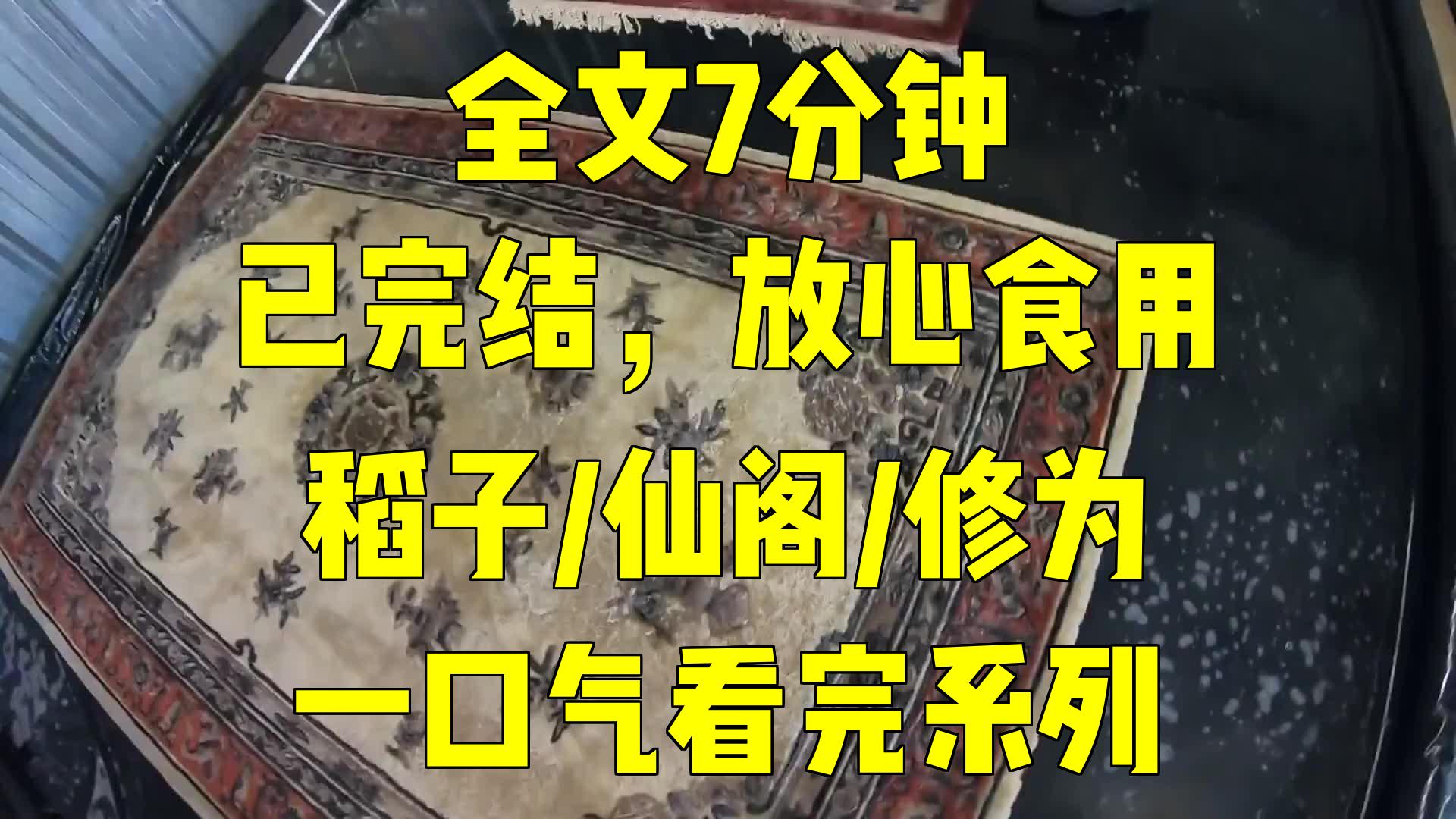 一口气系列|稻子/仙阁/修为|什么稻子不过是个废物罢了他能有什么修行