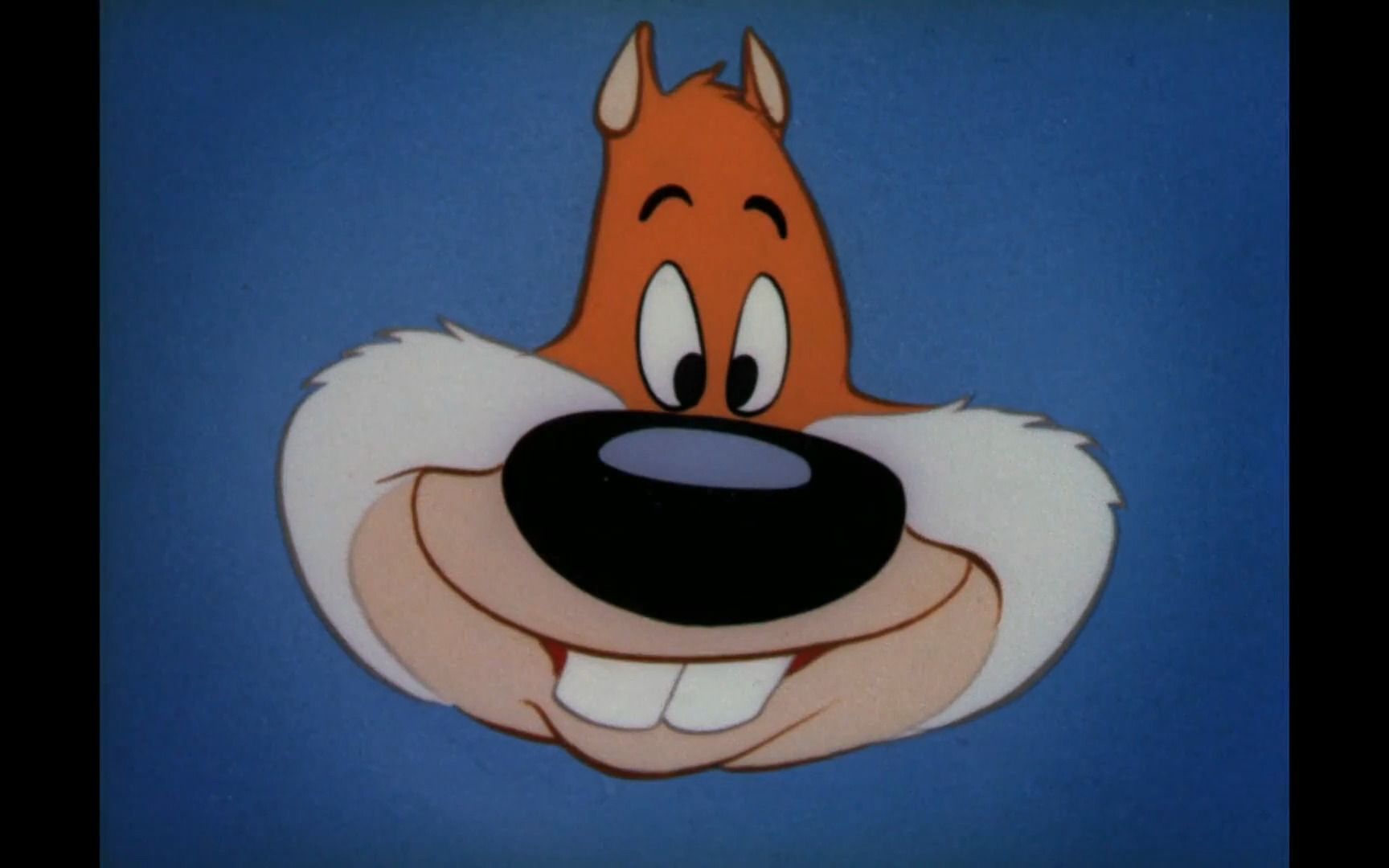【美国老动画翻译】精怪松鼠(1944) 米高梅 tex avery