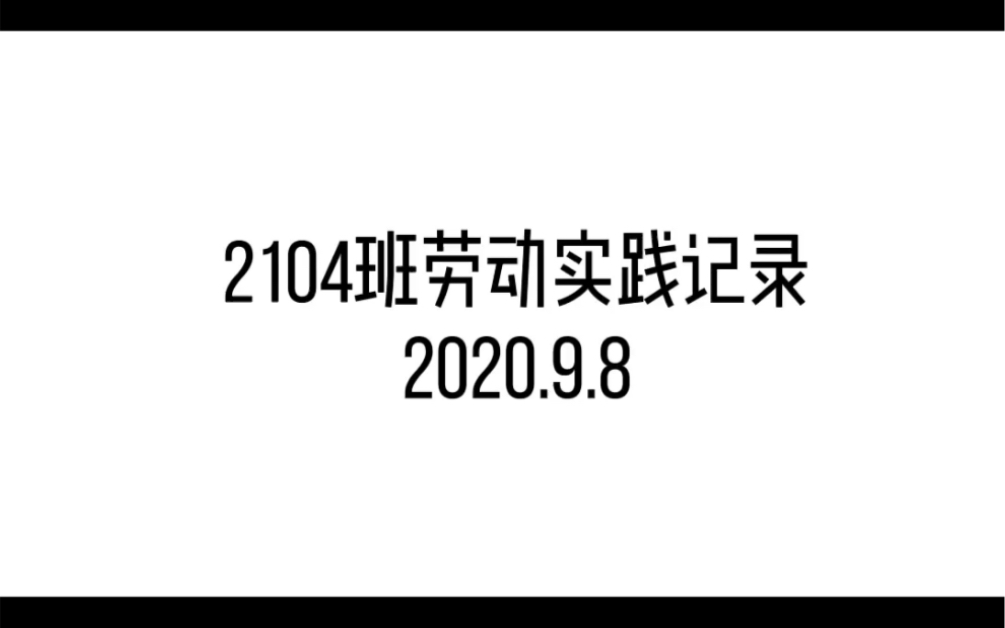 开封高中实验学校2104班劳动实践记录哔哩哔哩bilibili