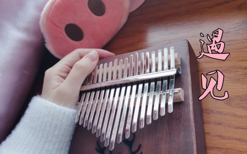 「卡林巴」拇指琴弹奏孙燕姿的《遇见》