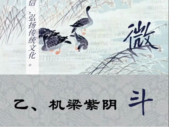 乙干四化,机梁紫阴:紫微斗数实战命盘教学