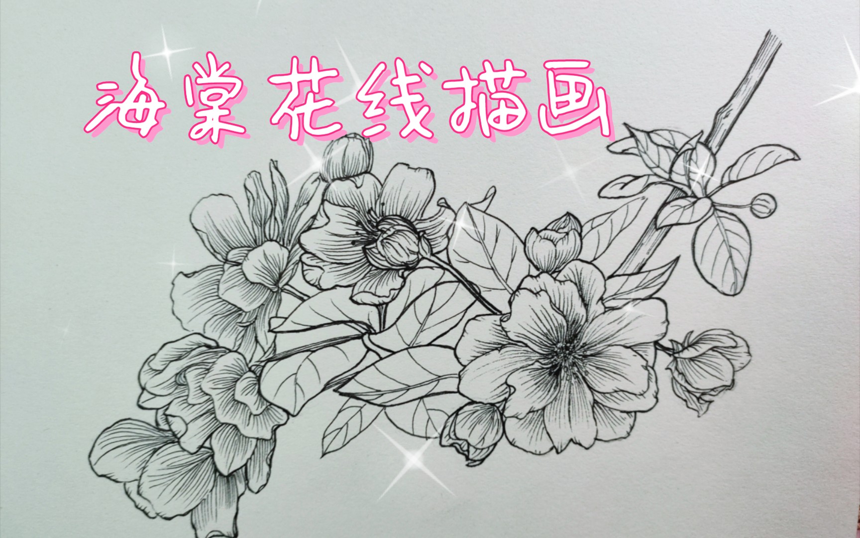 不甚滿意的海棠花線描畫