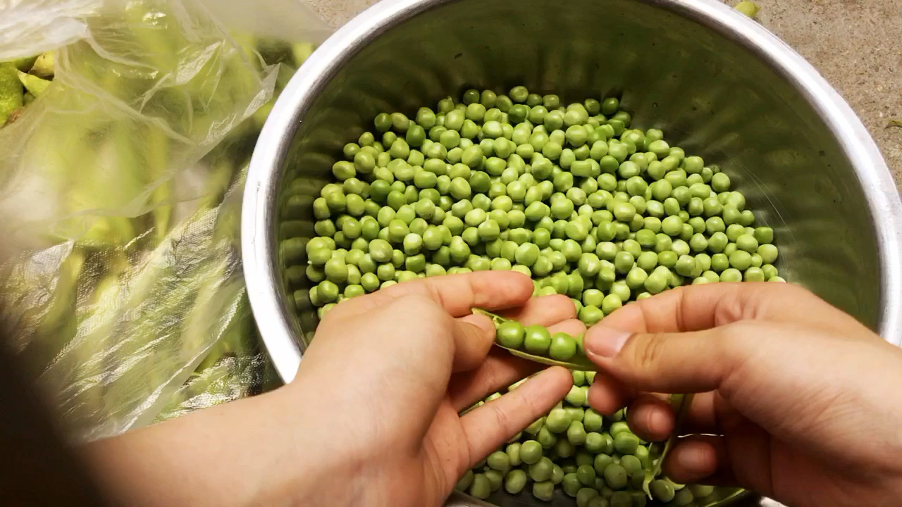 无聊日常 晒着太阳剥豌豆