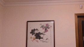 Staple Stable 化物语op1 哔哩哔哩 つロ干杯 Bilibili