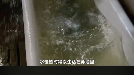 [图]尼斯湖水怪2