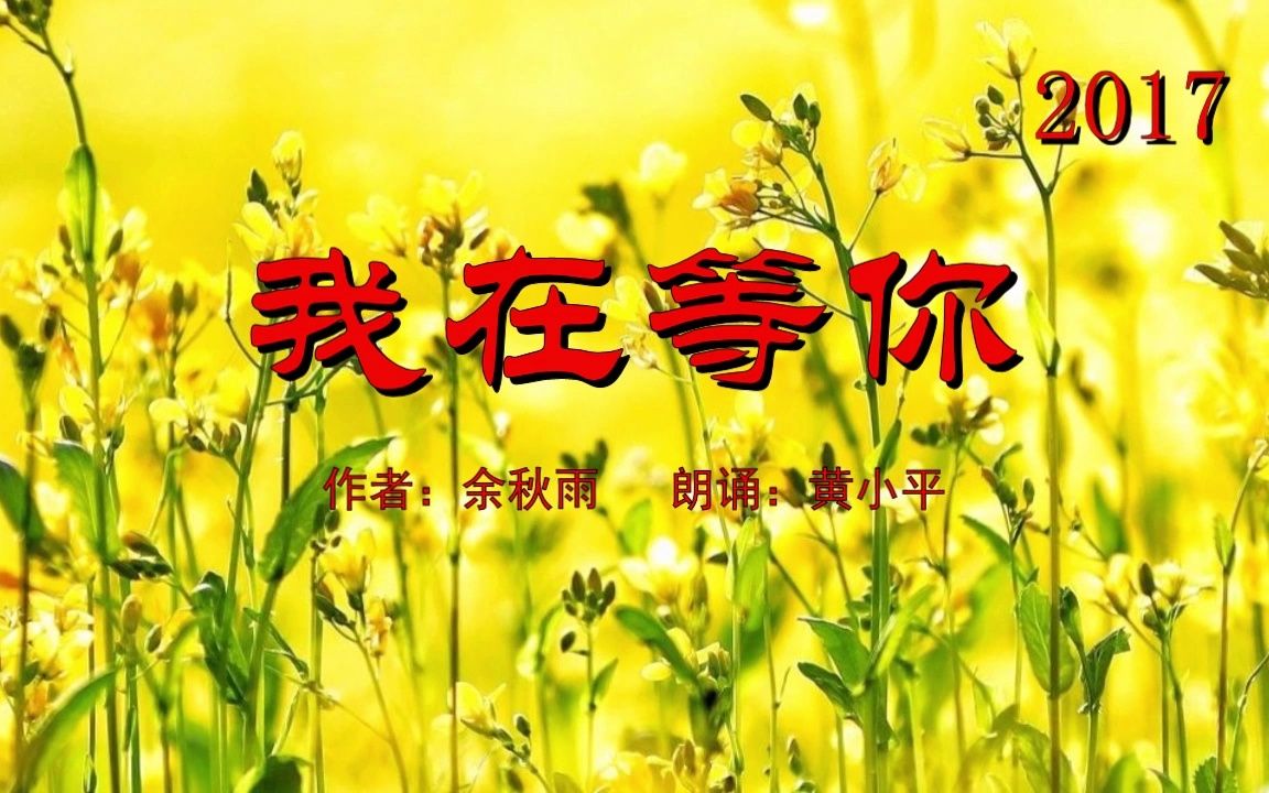 散文《我在等你》2017 / 作者:余秋雨;朗诵:黄小平