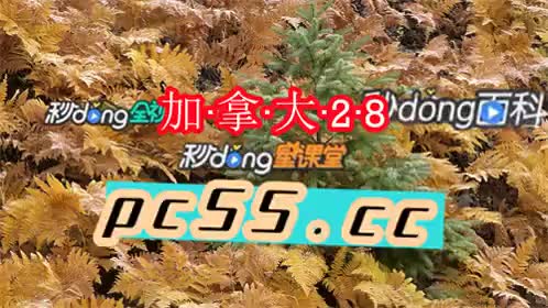 加拿大pc28玩法介绍