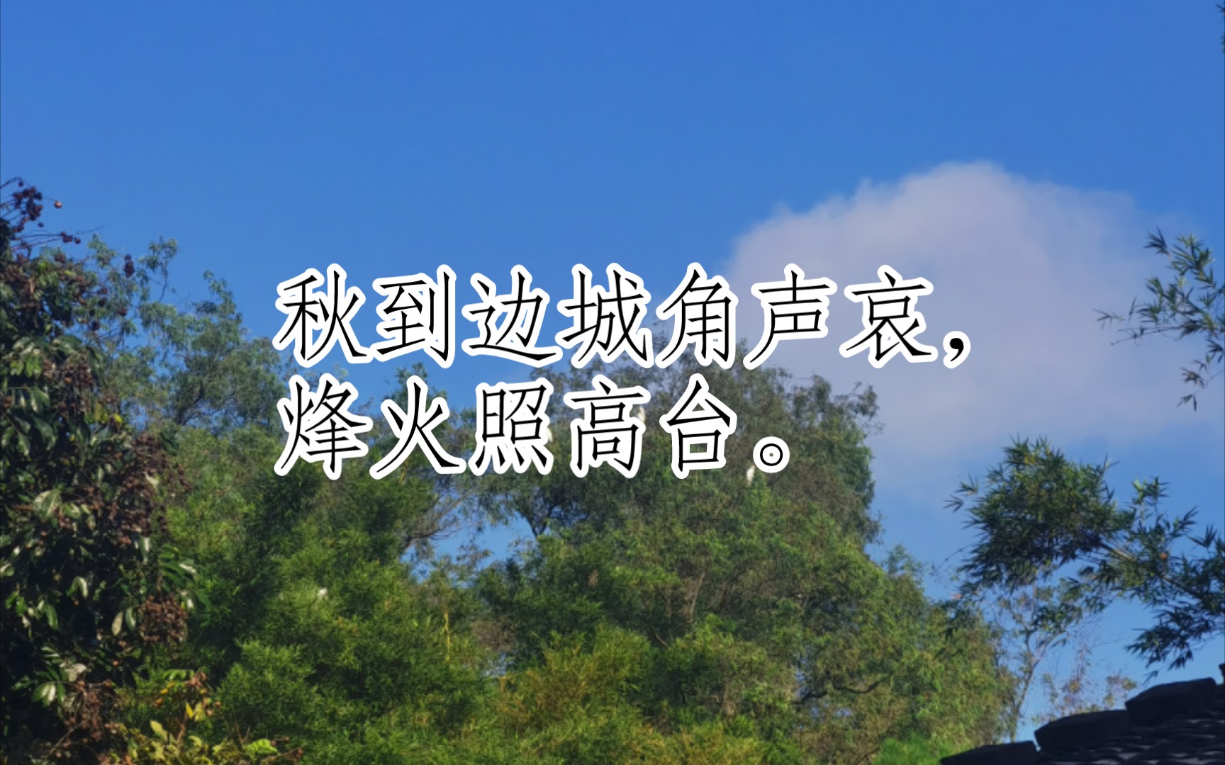 宋词三百首(秋波媚ⷤ𘃦œˆ十六日晚登高兴亭望长安南山[宋代]陆游)哔哩哔哩bilibili