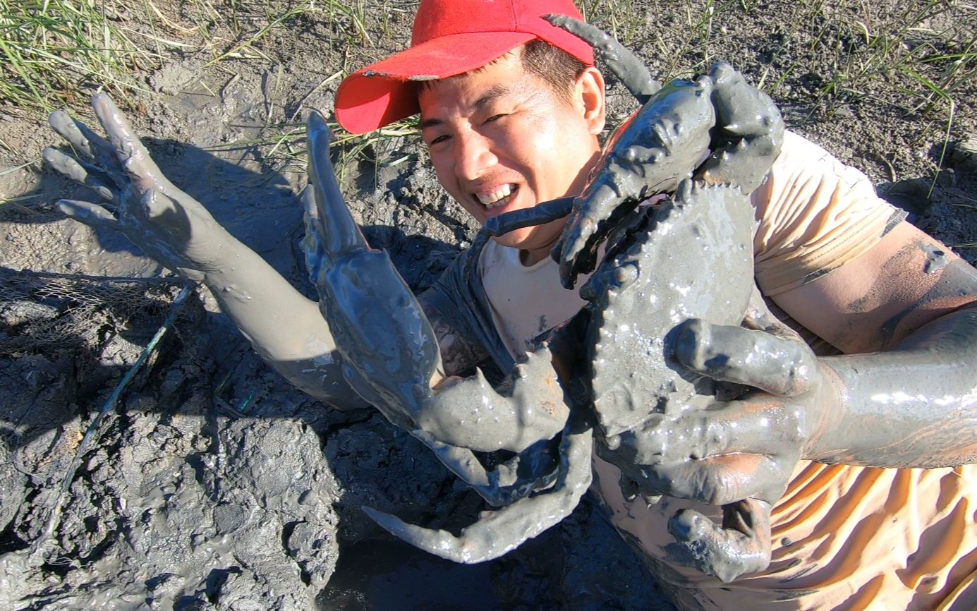 刀仔在红树林外找很久,发现一个超深的螃蟹洞,抓出来高兴坏了