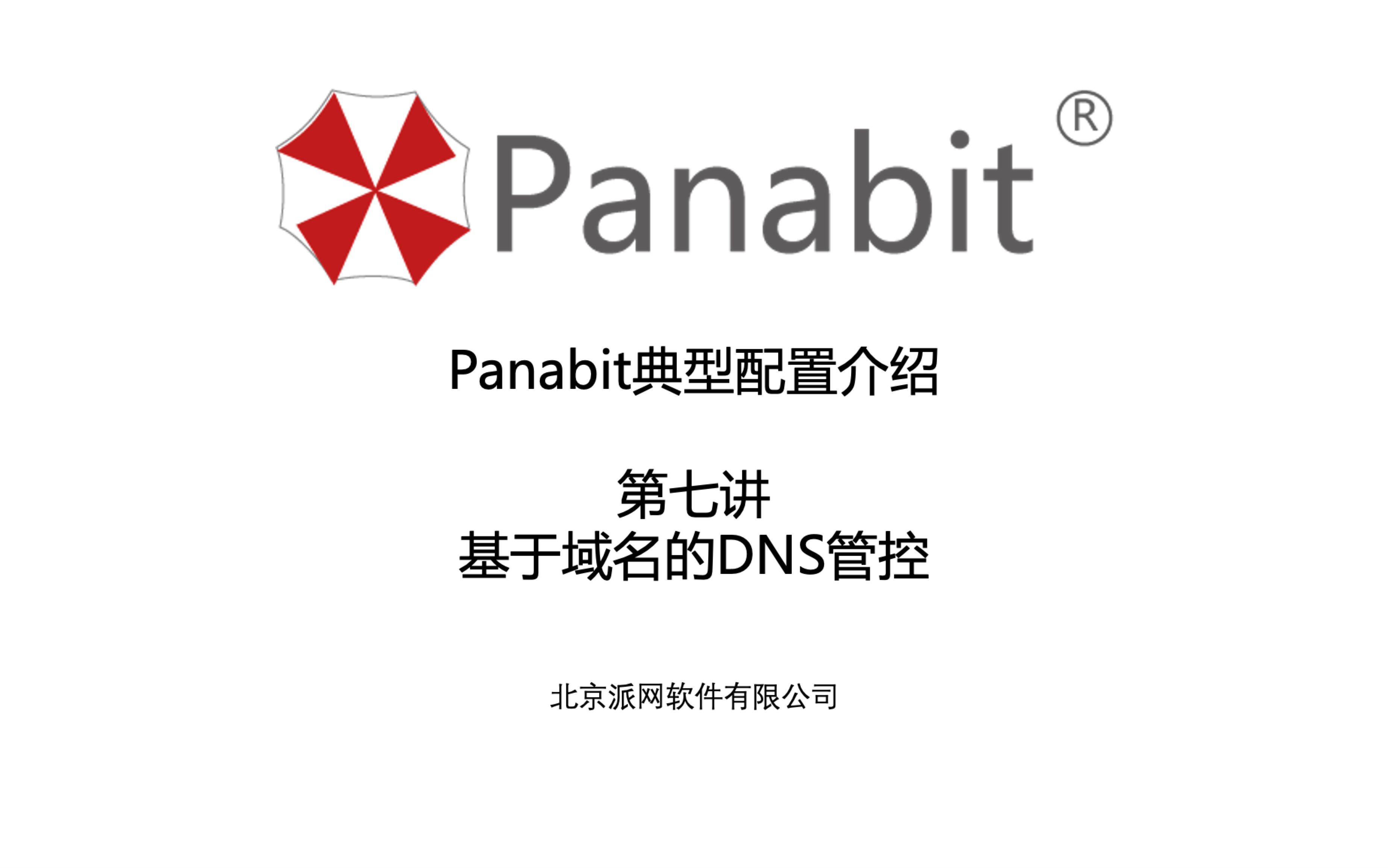 Panabit公开课典型配置第七讲:基于域名的DNS重定向哔哩哔哩bilibili