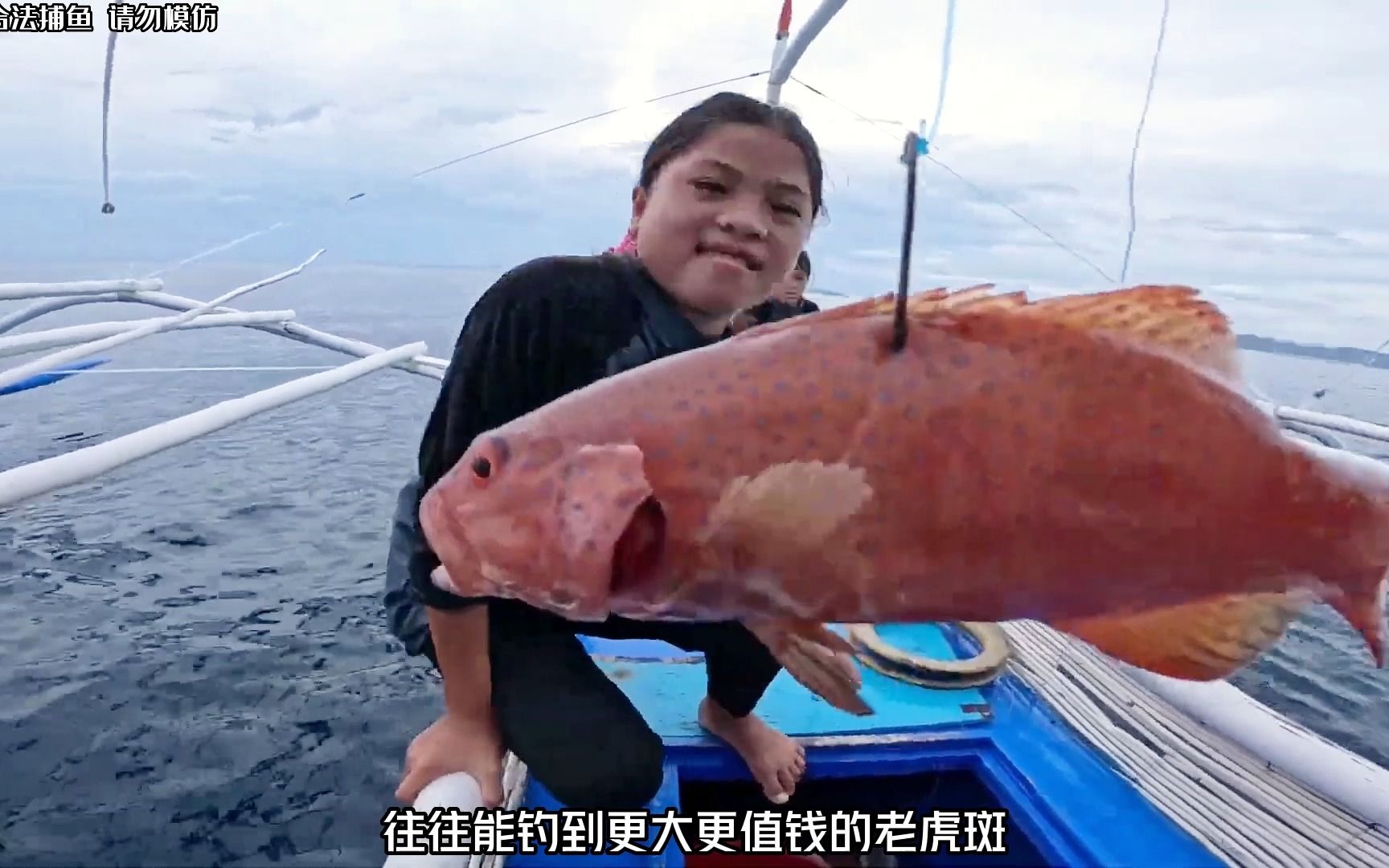 苏眉鱼2000元一斤图片