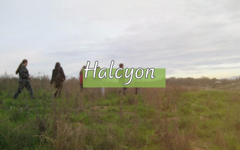 [图]≡日推≡ | halycon | 敬那些教会我博大而强烈的爱的人